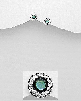 473-3096 - Wholesale 925 Sterling Silver Push-Back Earrings Decorated With Crystal Glass & Shell