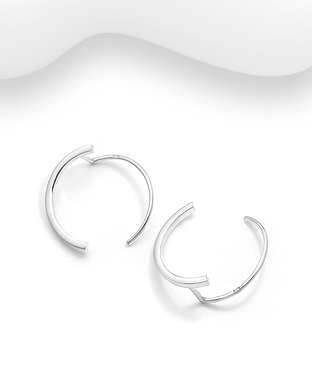 706-29845 - Wholesale 925 Sterling Silver Hook Earrings