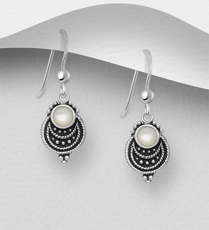 789-3560A - Wholesale 925 Sterling Silver Hook Earrings Decorated With Shell