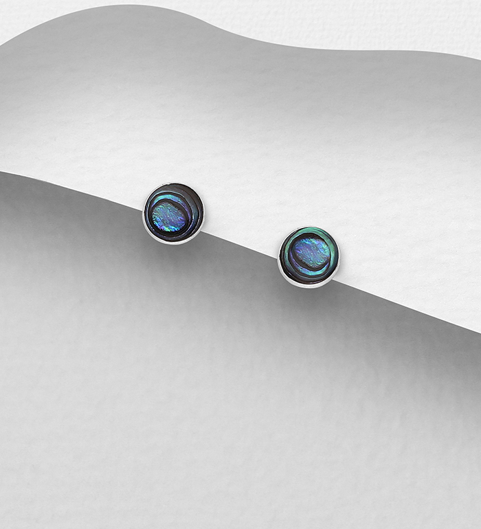 789-3965 - Wholesale 925 Sterling Silver Push-Back Earrings Decorated with Circle Shell